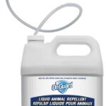 51d7Xeb6H+L._AC_SL1485_