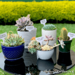 7134+trxscS._SL1500_