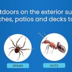 9186bec8-7b83-4d81-ace5-73b69a01d8bf.__CR0,0,1940,600_PT0_SX970_V1___ (1)