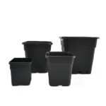 H10db2270e6214f8db3cdba25b229f197P-tr