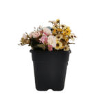 H800f4b75f8214fad969f47803d9428a1F-tr