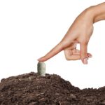 Jobes Organics Fruit and Citrus Spikes3