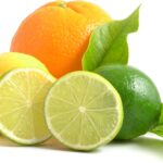 Jobes Organics Fruit and Citrus Spikes4