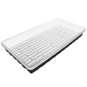 propagation tray