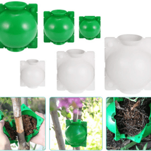 Plant/Tree Propagation Rooting Cloning Balls (3 pieces clear)