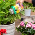 miracle gro shake n feed