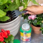 miracle gro shake n feed