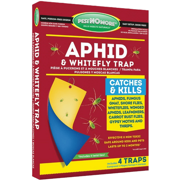 aphid whitefly trap